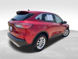Used 2022 Ford Escape SE image 6