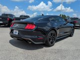 Used 2021 Ford Mustang Coupe w/ Equipment Group 101A image 4