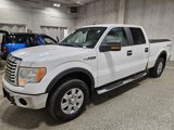 Used 2010 Ford F150 XLT image 2