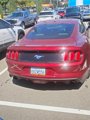 Used 2015 Ford Mustang Premium w/ Equipment Group 201A image 2
