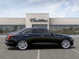 New 2025 Cadillac CT4 Premium Luxury image 5