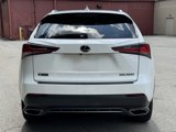 Used 2020 Lexus NX 300 F Sport image 6