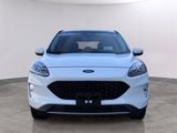 Used 2020 Ford Escape Titanium image 2