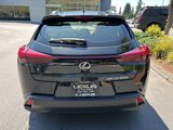 New 2025 Lexus UX 300h AWD image 6