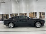 New 2025 Dodge Charger R/T w/ Quick Order Package 25M R/T image 3