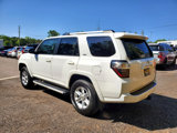 Used 2019 Toyota 4Runner SR5 Premium image 2