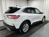 Used 2020 Ford Escape SE image 3
