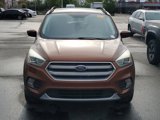 Used 2017 Ford Escape SE w/ Equipment Group 201A image 2