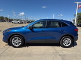Used 2022 Ford Escape SE w/ Convenience Package image 4