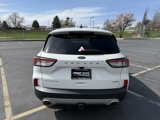 Used 2020 Ford Escape Titanium image 6