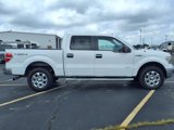 Used 2014 Ford F150 XLT w/ Equipment Group 302A Luxury image 4
