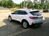 Used 2020 Ford Escape SE image 2
