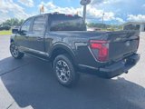 Certified 2024 Ford F150 STX image 4