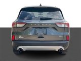 Used 2020 Ford Escape SEL image 5