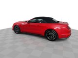 Used 2019 Ford Mustang Premium image 5