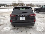 New 2025 Ford Escape ST-Line w/ Tech Pack #1 image 4
