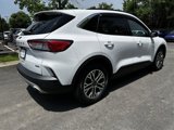 Used 2020 Ford Escape SEL image 6