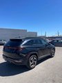 Used 2022 Hyundai Tucson Limited image 3