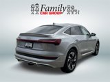 Used 2022 Audi e-tron Premium Plus image 3