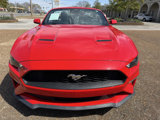 Used 2022 Ford Mustang Premium image 3
