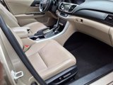 Used 2013 Honda Accord EX-L image 4