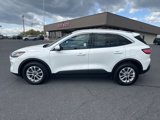 Used 2021 Ford Escape SE w/ Cold Weather Package image 2