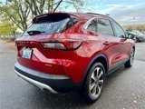 Used 2023 Ford Escape Platinum w/ Premium Technology Package image 5