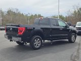 Certified 2021 Ford F150 XLT w/ Equipment Group 302A High image 3