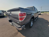 Used 2010 Ford F150 XLT image 5