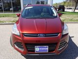 Used 2015 Ford Escape Titanium image 2