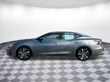 Used 2023 Nissan Maxima SV w/ Floor Mat Group image 2