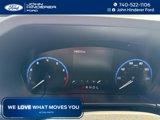 Used 2023 Ford Bronco Sport Big Bend image 2