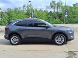 Used 2022 Ford Escape SE w/ Convenience Package image 3