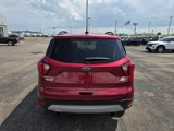 Used 2019 Ford Escape SEL image 5