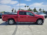 Used 2019 Ford F150 XLT w/ Equipment Group 302A Luxury image 4
