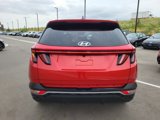 Used 2023 Hyundai Tucson SEL w/ Convenience Package image 3
