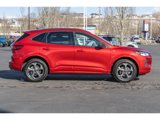 Used 2024 Ford Escape ST-Line w/ Tech Pack #1 image 2