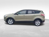Used 2013 Ford Escape SE image 2
