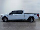 Used 2022 Ford F150 XLT w/ Equipment Group 302A High image 2
