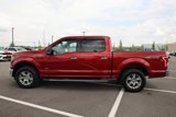 Used 2016 Ford F150 XLT w/ Equipment Group 302A Luxury image 2