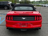 Used 2019 Ford Mustang Convertible image 5