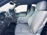 Used 2013 Ford F150 XLT w/ Luxury Equipment Group image 2