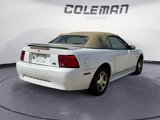 Used 2000 Ford Mustang Convertible image 5