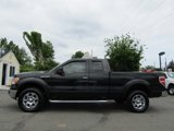 Used 2010 Ford F150 XLT image 6