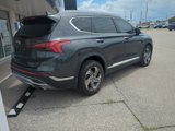 Used 2021 Hyundai Santa Fe SEL w/ Convenience + Premium Package image 3