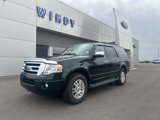 Used 2014 Ford Expedition XLT image 2