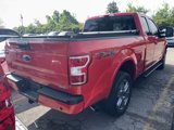 Used 2019 Ford F150 XLT w/ Equipment Group 302A Luxury image 3