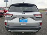 Used 2020 Ford Escape Titanium image 5