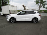 Used 2023 Ford Escape ST-Line image 4