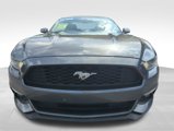 Used 2016 Ford Mustang Coupe w/ Equipment Group 051A image 2